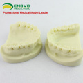 VENDER 12564 Dental Dental Practice Practice